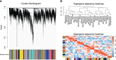 Analysis of huanglongbing-associated RNA-seq data reveals disturbances in biological processes within Citrus spp. triggered by Candidatus Liberibacter asiaticus infection